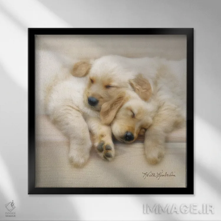 تابلو دکوراتیو دوستان خواب نیمروزی اثر کیت کیمبرلین - نمای قابدار مشکی