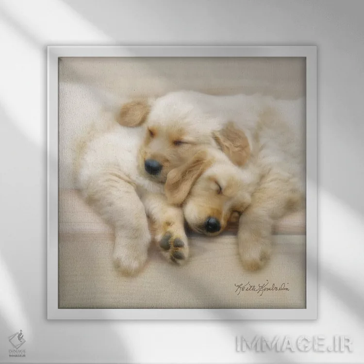 تابلو دکوراتیو دوستان خواب نیمروزی اثر کیت کیمبرلین - نمای قابدار سفید