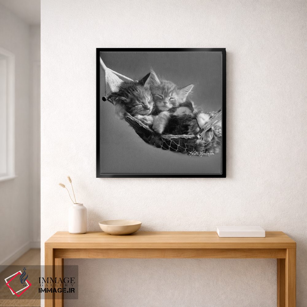 تابلو دکوراتیو بچه ها در ننو اثر کیت کیمبرلین - D1B