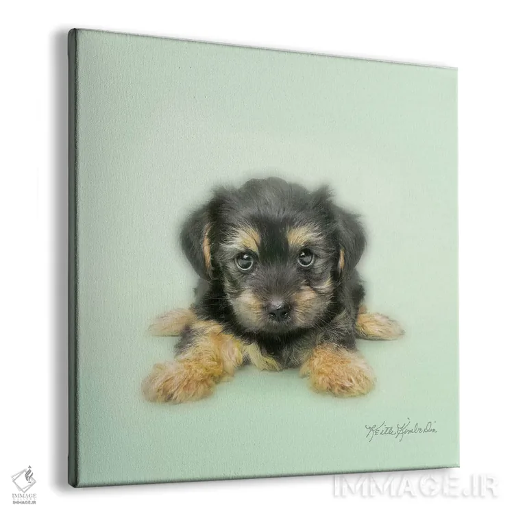 تابلو دکوراتیو پاها را باز کن اثر کیت کیمبرلین - نمای پرسپکتیو محصول