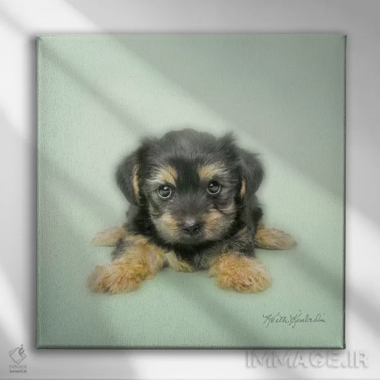 تابلو دکوراتیو پاها را باز کن اثر کیت کیمبرلین - نمای روبهرو روی دیوار