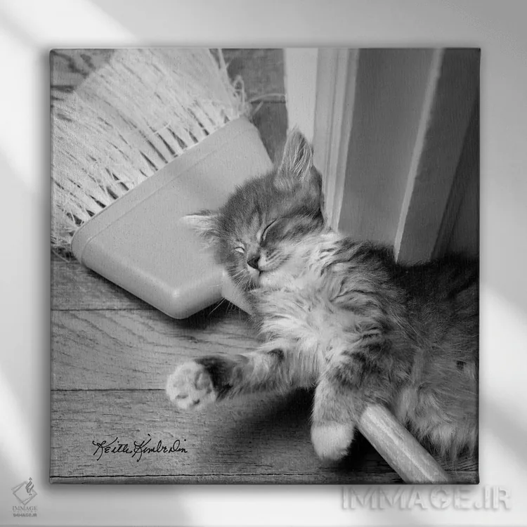 تابلو دکوراتیو خانه تکانی بهاری اثر کیت کیمبرلین - نمای روبهرو روی دیوار