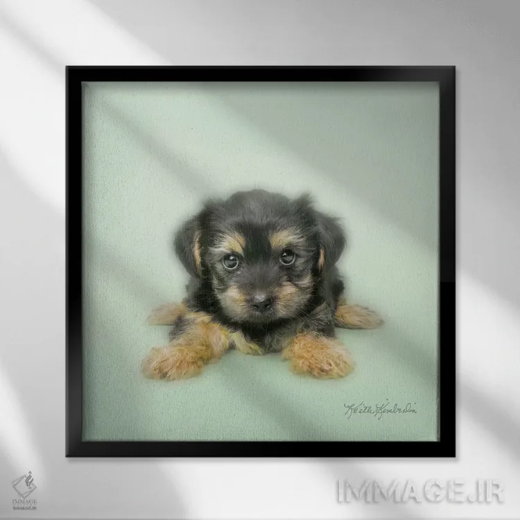 تابلو دکوراتیو پاها را باز کن اثر کیت کیمبرلین - نمای قابدار مشکی