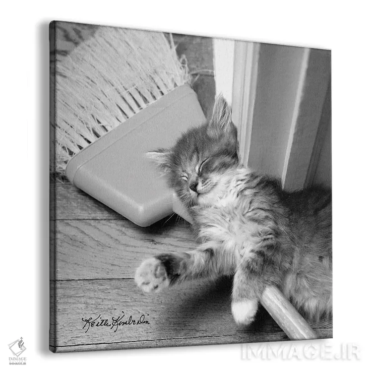 تابلو دکوراتیو خانه تکانی بهاری اثر کیت کیمبرلین - نمای پرسپکتیو محصول