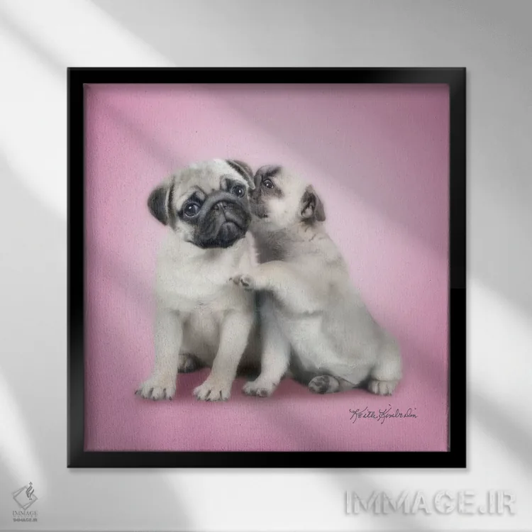 تابلو دکوراتیو راز اثر کیت کیمبرلین - نمای قابدار مشکی