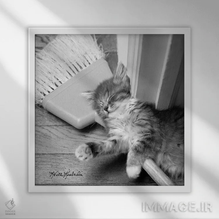 تابلو دکوراتیو خانه تکانی بهاری اثر کیت کیمبرلین - نمای قابدار سفید