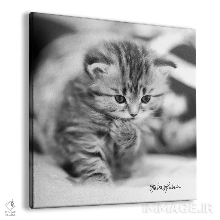 تابلو دکوراتیو متفکر اثر کیت کیمبرلین - نمای پرسپکتیو محصول