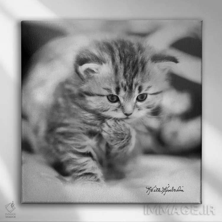 تابلو دکوراتیو متفکر اثر کیت کیمبرلین - نمای روبهرو روی دیوار