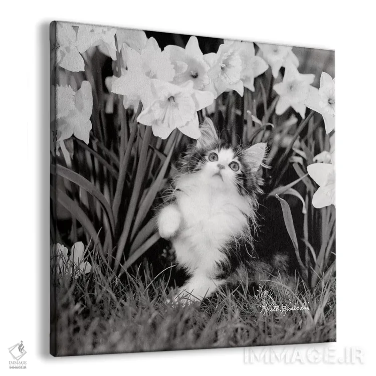 تابلو دکوراتیو عشق سفر اثر کیت کیمبرلین - نمای پرسپکتیو محصول