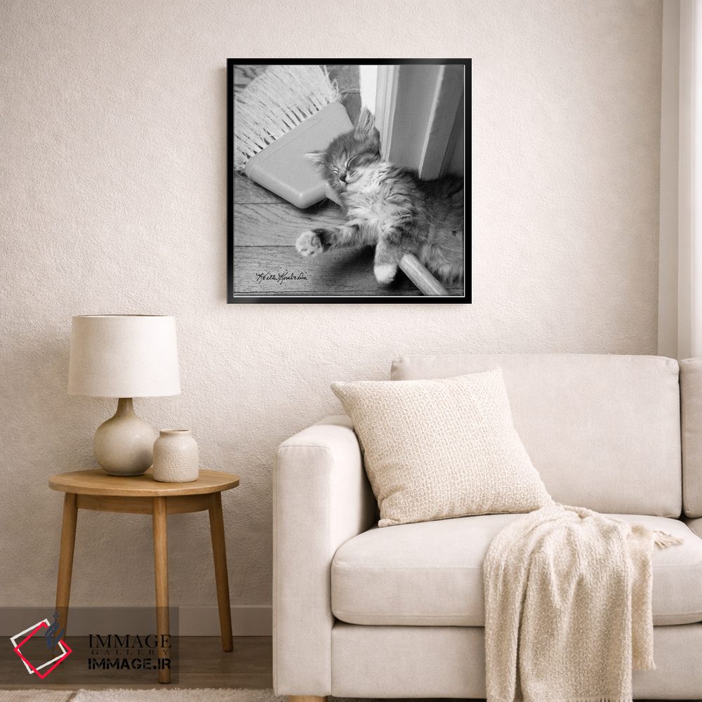 تابلو دکوراتیو خانه تکانی بهاری اثر کیت کیمبرلین - D6B