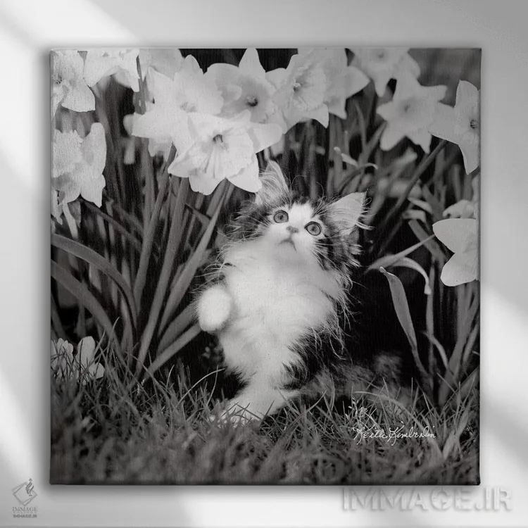 تابلو دکوراتیو عشق سفر اثر کیت کیمبرلین - نمای روبهرو روی دیوار