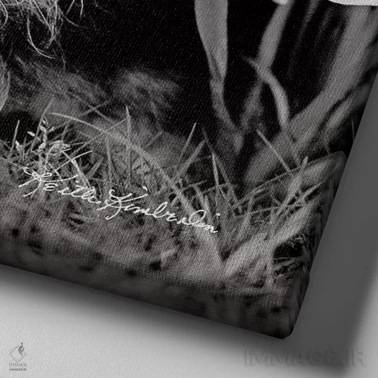 تابلو دکوراتیو عشق سفر اثر کیت کیمبرلین - نمای نزدیک بافت بوم