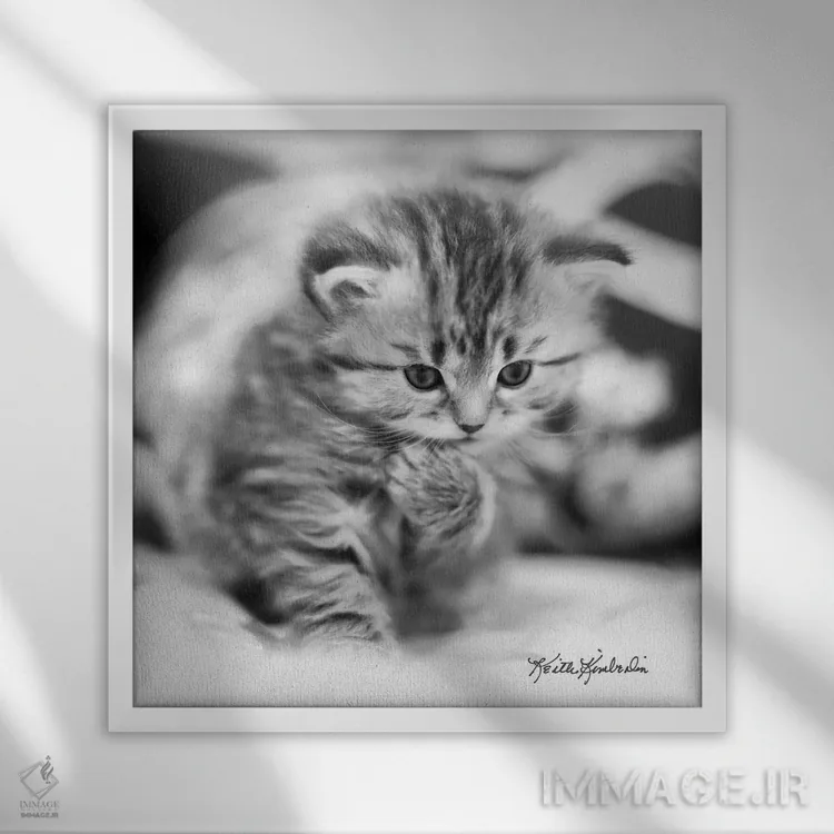 تابلو دکوراتیو متفکر اثر کیت کیمبرلین - نمای قابدار سفید