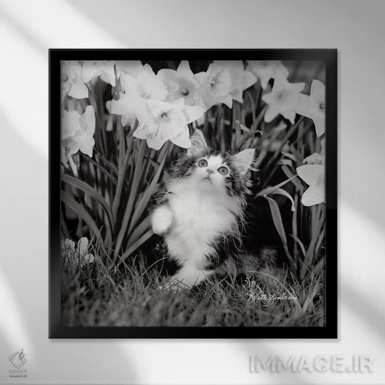 تابلو دکوراتیو عشق سفر اثر کیت کیمبرلین - نمای قابدار مشکی