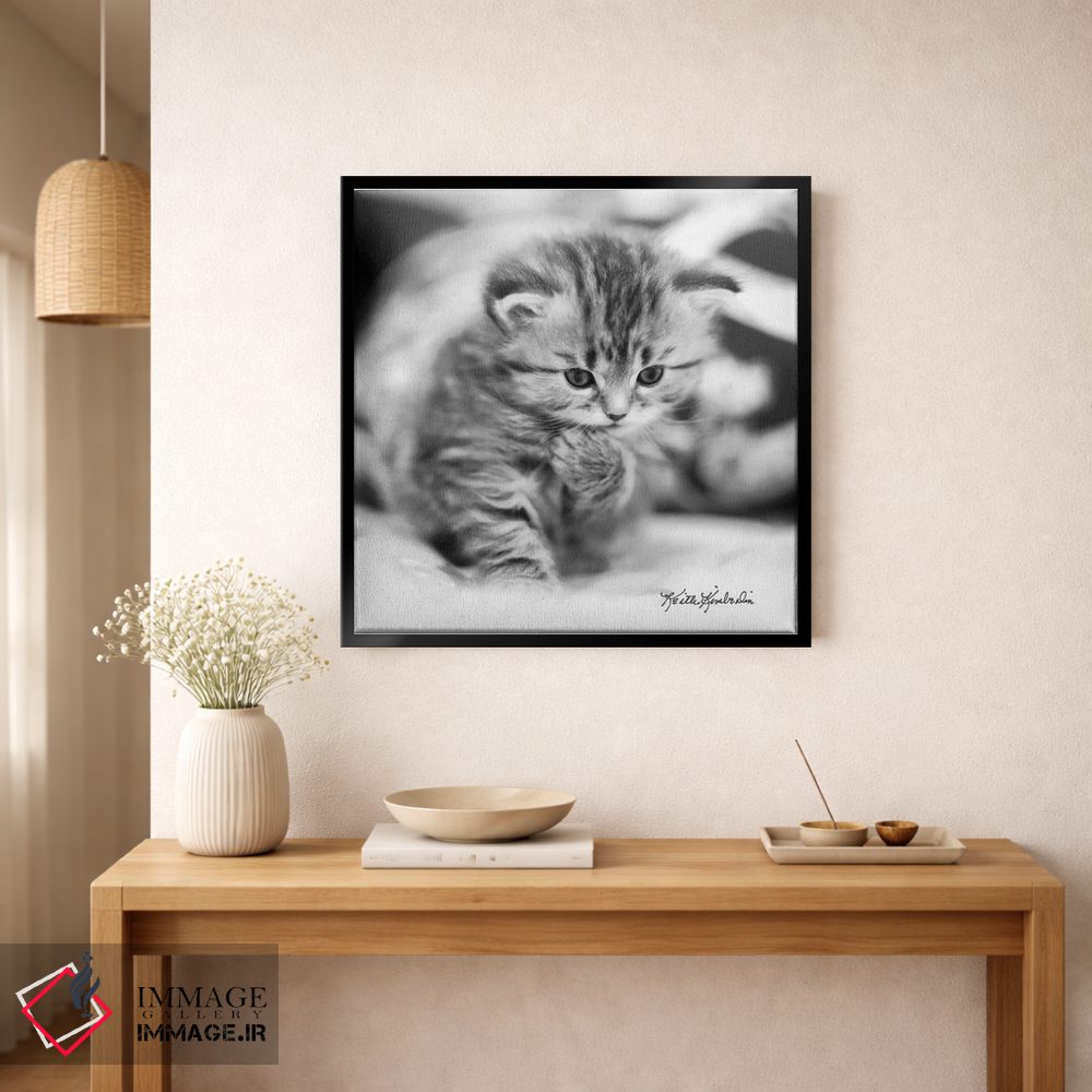 تابلو دکوراتیو متفکر اثر کیت کیمبرلین - D1B