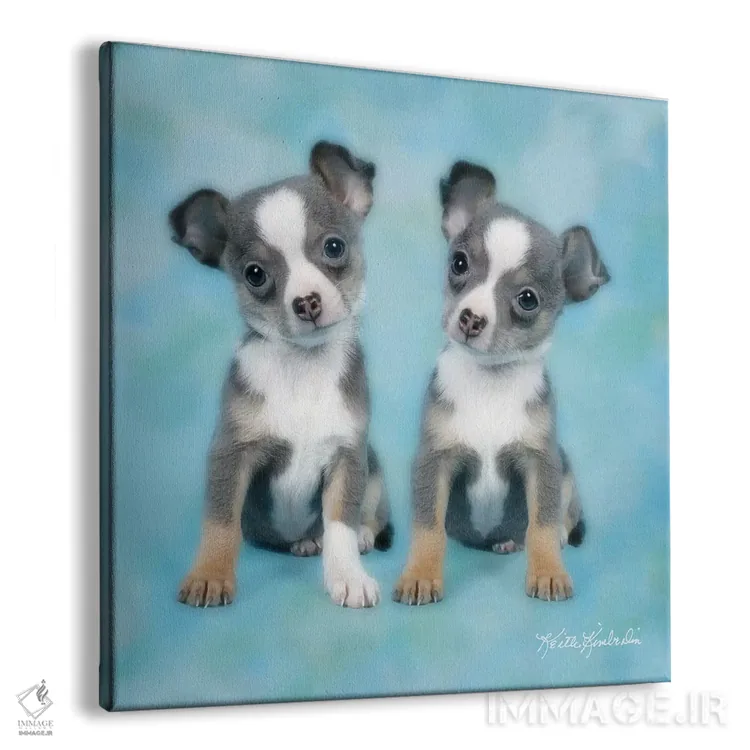 تابلو دکوراتیو دوقلو بودن اثر کیت کیمبرلین - نمای پرسپکتیو محصول