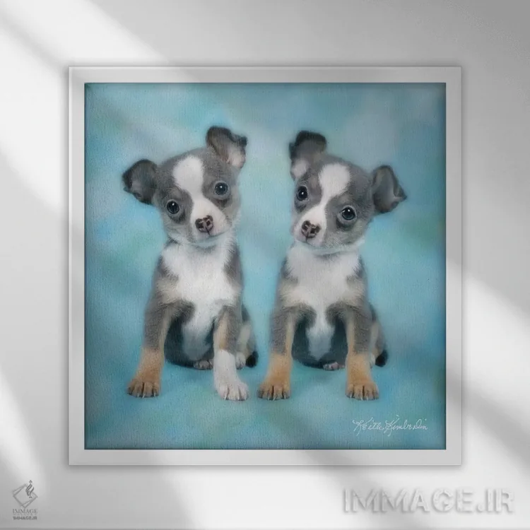 تابلو دکوراتیو دوقلو بودن اثر کیت کیمبرلین - نمای قابدار سفید