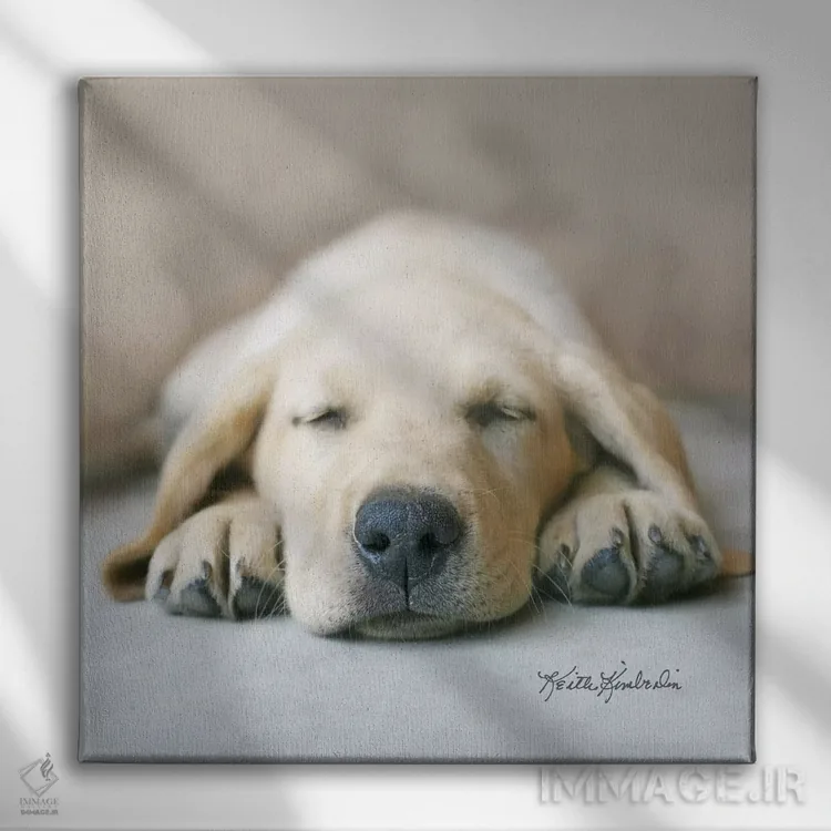 تابلو دکوراتیو در رویای غذای خشک اثر کیت کیمبرلین - نمای روبهرو روی دیوار