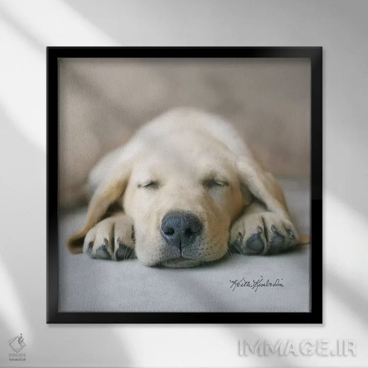 تابلو دکوراتیو در رویای غذای خشک اثر کیت کیمبرلین - نمای قابدار مشکی