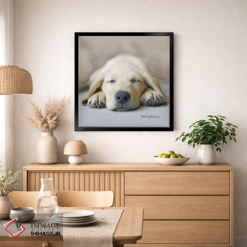 تابلو دکوراتیو در رویای غذای خشک اثر کیت کیمبرلین - D2B