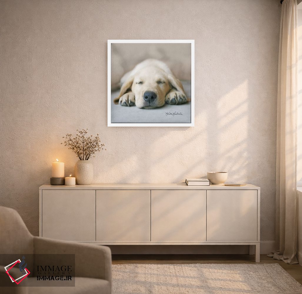 تابلو دکوراتیو در رویای غذای خشک اثر کیت کیمبرلین - D6W