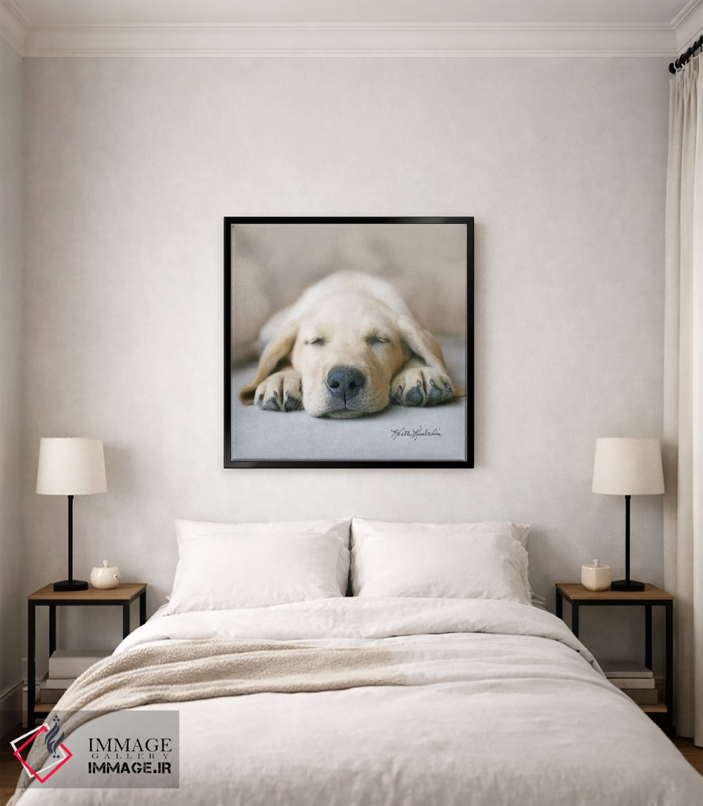 تابلو دکوراتیو در رویای غذای خشک اثر کیت کیمبرلین - D5B