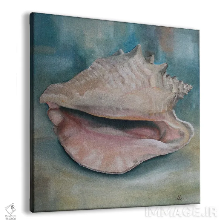تابلو دکوراتیو صدف کونک اثر کریستین کاینر - نمای پرسپکتیو محصول