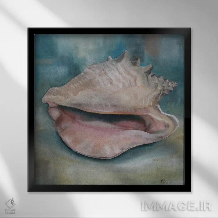 تابلو دکوراتیو صدف کونک اثر کریستین کاینر - نمای قابدار مشکی