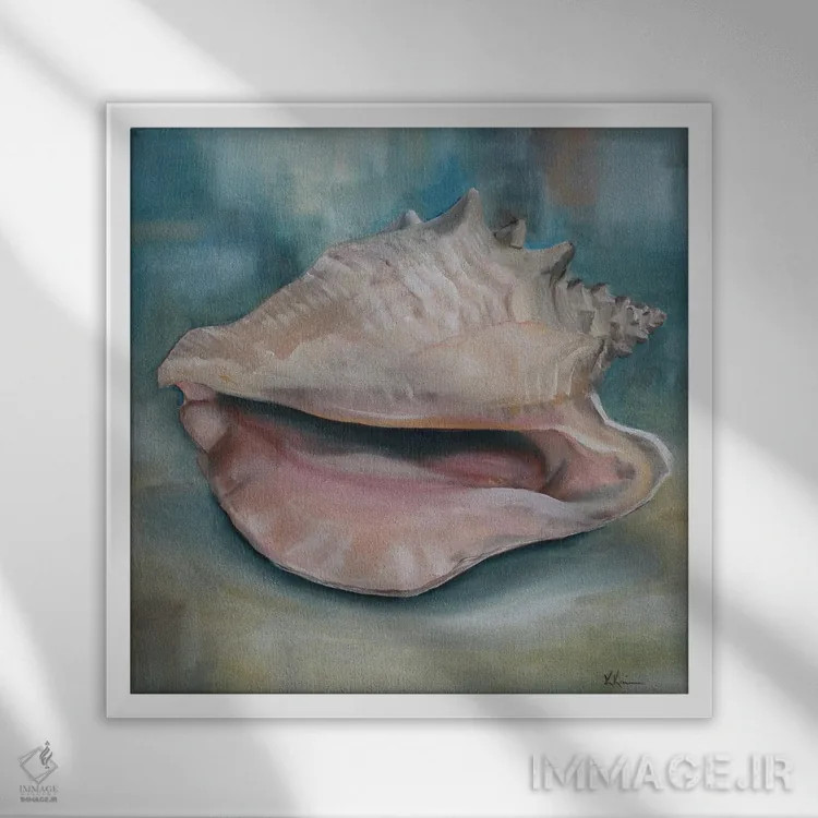 تابلو دکوراتیو صدف کونک اثر کریستین کاینر - نمای قابدار سفید