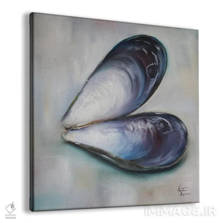 تابلو دکوراتیو صدف سیاه خالی اثر کریستین کاینر - نمای پرسپکتیو محصول