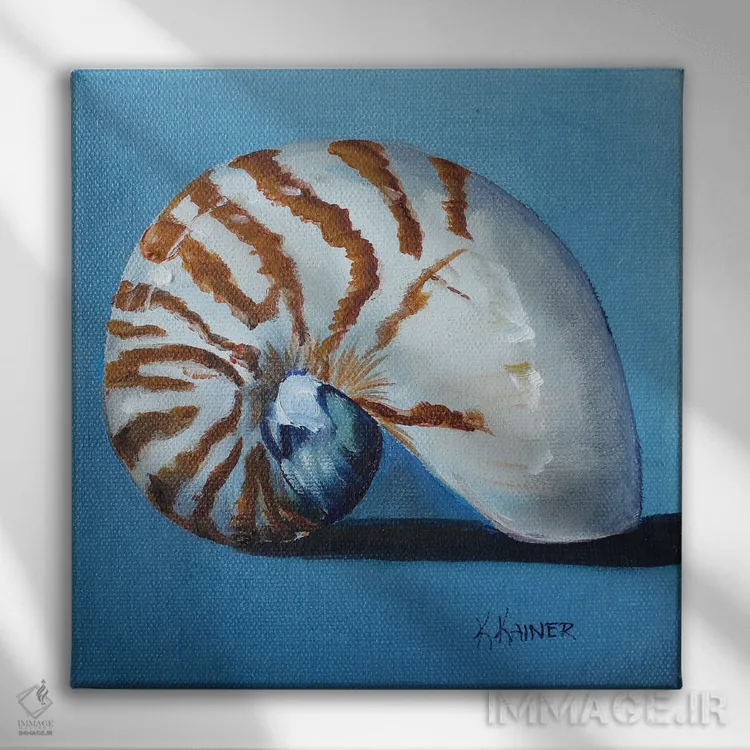 تابلو دکوراتیو صدف ناتیلوس اثر کریستین کاینر - نمای روبهرو روی دیوار