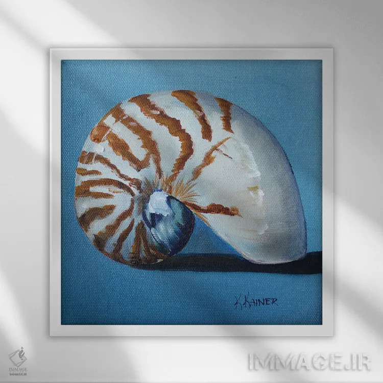 تابلو دکوراتیو صدف ناتیلوس اثر کریستین کاینر - نمای قابدار سفید