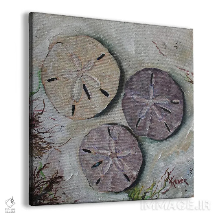 تابلو دکوراتیو صدف های دلار شنی اثر کریستین کاینر - نمای پرسپکتیو محصول