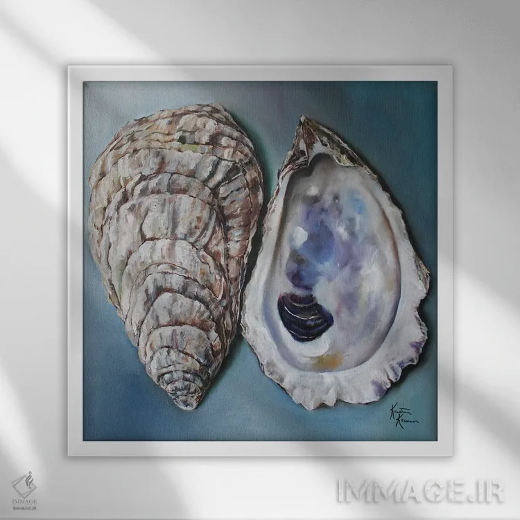 تابلو دکوراتیو پوسته صدف ها اثر کریستین کاینر - نمای قابدار سفید