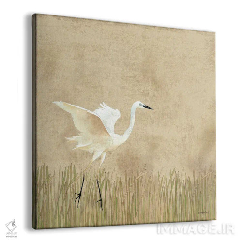 تابلو دکوراتیو فرود مرغ ماهی خوار ۱ اثر کاترین لاول - نمای پرسپکتیو محصول