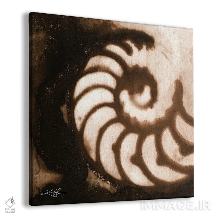 تابلو دکوراتیو گوهرهای دریا اول-چهارم اثر کتی مورتون استنیون - نمای پرسپکتیو محصول