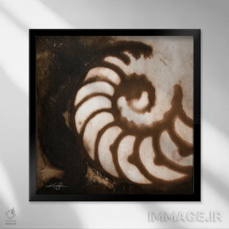 تابلو دکوراتیو گوهرهای دریا اول-چهارم اثر کتی مورتون استنیون - نمای قابدار مشکی