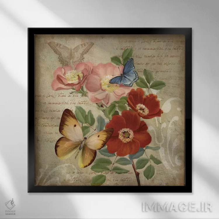 تابلو دکوراتیو گیاه شناسی پروانه I اثر کنراد ناتسن - نمای قابدار مشکی