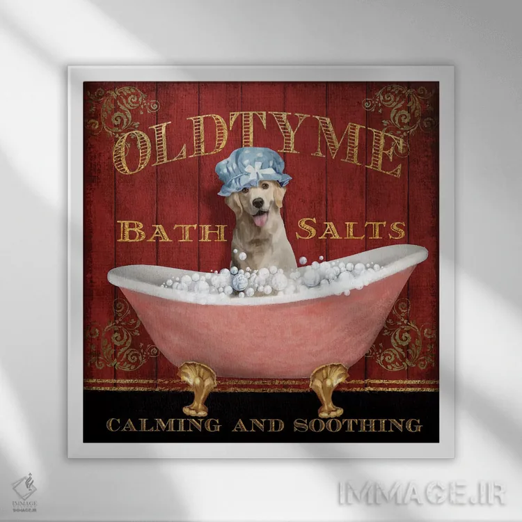 تابلو دکوراتیو حمام قدیمی اثر کنراد ناتسن - نمای قابدار سفید