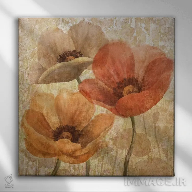 تابلو دکوراتیو جذابیت خشخاش II اثر کنراد ناتسن - نمای روبهرو روی دیوار