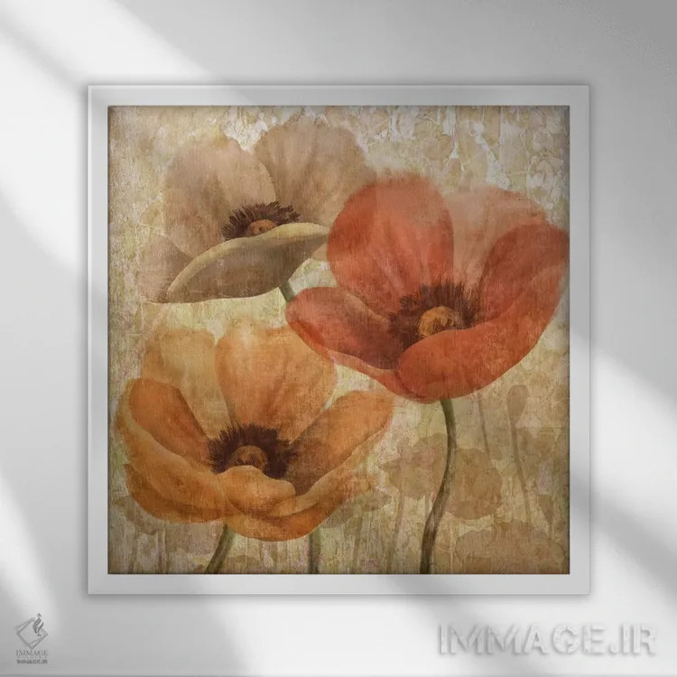 تابلو دکوراتیو جذابیت خشخاش II اثر کنراد ناتسن - نمای قابدار سفید