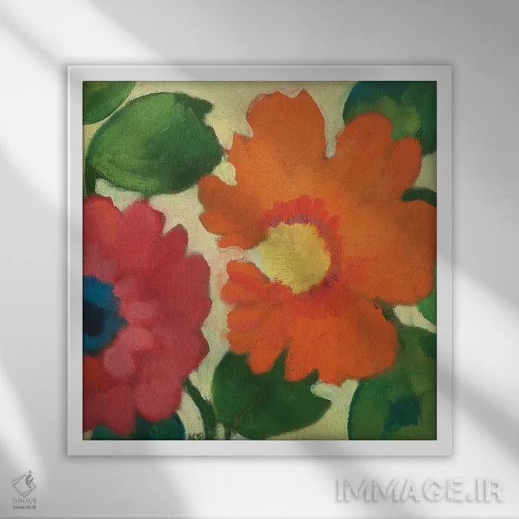 تابلو دکوراتیو باغ شقایق دریایی IV اثر کیم پارکر - نمای قابدار سفید