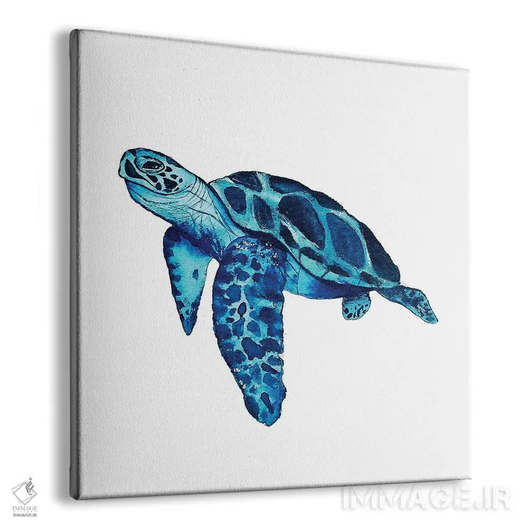 تابلو دکوراتیو لاک پشت دریایی II اثر کارلی پرولد - نمای پرسپکتیو محصول