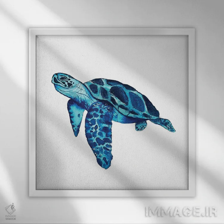 تابلو دکوراتیو لاک پشت دریایی II اثر کارلی پرولد - نمای قابدار سفید