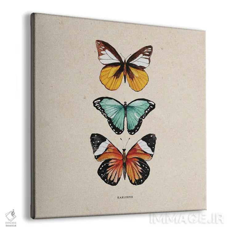 تابلو دکوراتیو پروانه ها اثر کارلی پرولد - نمای پرسپکتیو محصول