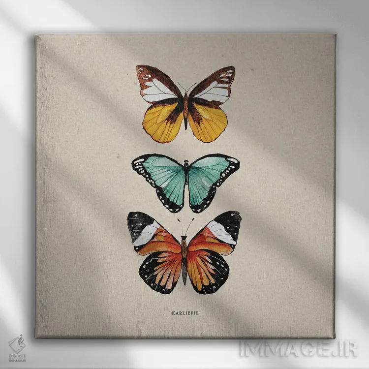 تابلو دکوراتیو پروانه ها اثر کارلی پرولد - نمای روبهرو روی دیوار