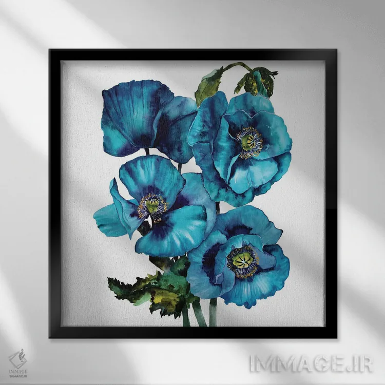 تابلو دکوراتیو شقایق های هیمالیا اثر کارلی پرولد - نمای قابدار مشکی