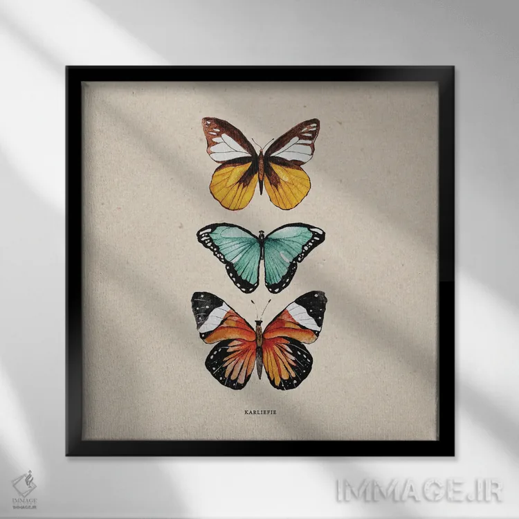 تابلو دکوراتیو پروانه ها اثر کارلی پرولد - نمای قابدار مشکی
