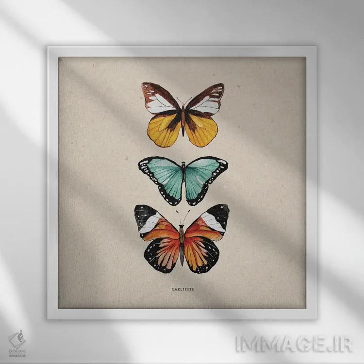 تابلو دکوراتیو پروانه ها اثر کارلی پرولد - نمای قابدار سفید