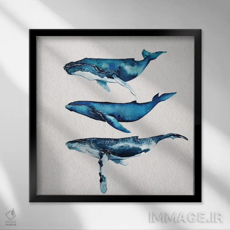 تابلو دکوراتیو مجموعه نهنگ گوژپشت اثر کارلی پرولد - نمای قابدار مشکی
